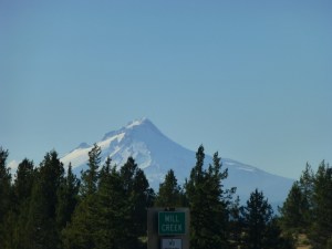P1030369