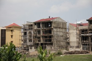Eucalyptus scaffolding