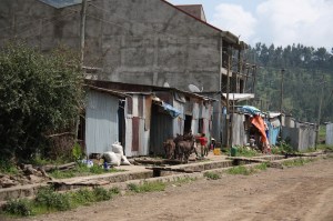 Shanties