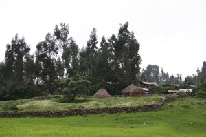Village house