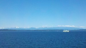 532075_10100671865852463_1422282286_n