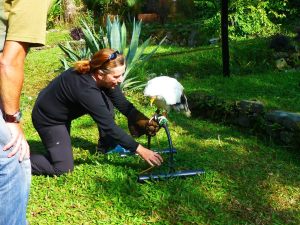 1397721_10101421659884213_539633773_o