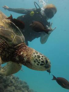 385537_10100701118874173_1615401034_n